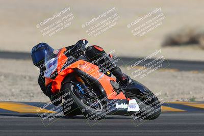 media/Feb-04-2023-SoCal Trackdays (Sat) [[8a776bf2c3]]/Turn 4 (Tree of Life 2pm)/